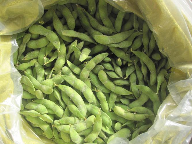 冷冻毛豆仁  日本青 出口级商品描述食品加工速冻冷冻的蔬菜毛豆储存
