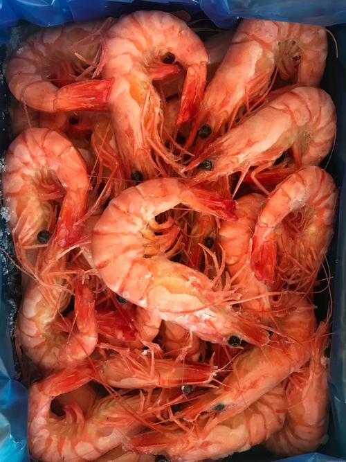 厂家大量供应泰国熟虎虾50-60 水产海鲜产品泰国熟虎虾750g/箱