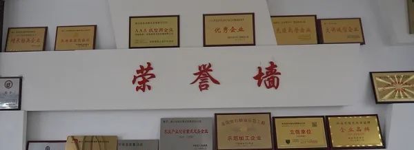 潢川县:党建引领产业兴 托起群众富裕梦