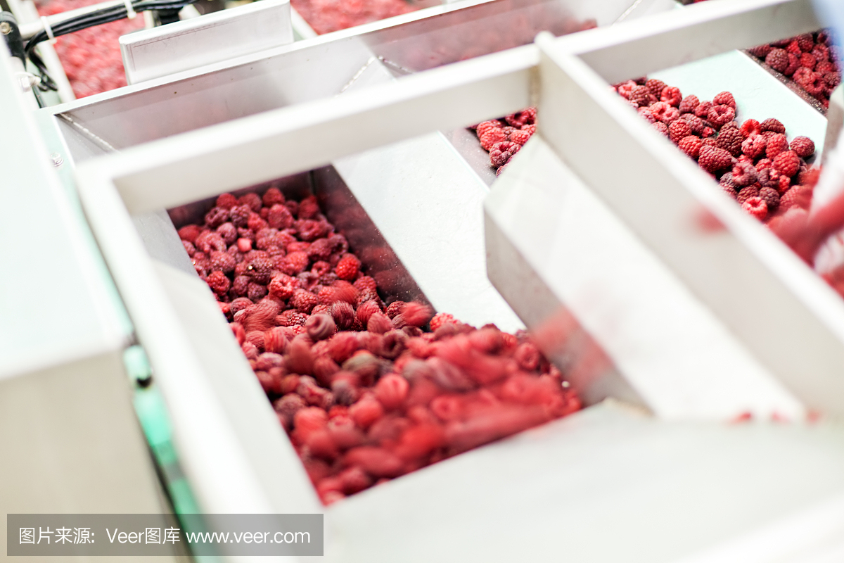 速冻树莓加工业务